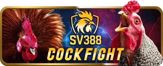 Đánh giá chuyên sâu nền tảng hello88 eu